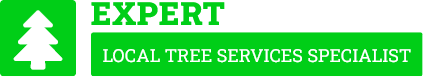Pukekohe Tree Services - Tree Removal Pukekohe
